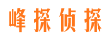 井陉县婚外情调查